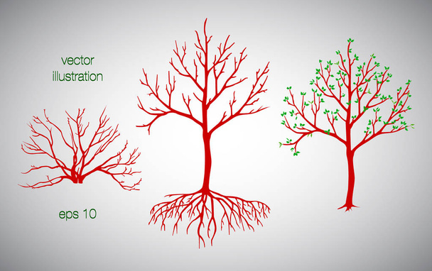 Vektorové ilustrace červený strom a bush s kořeny a listy - Vektor, obrázek