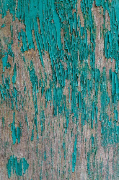 textura pelar pintura verde en un tablero de madera en todo el marco
 - Foto, imagen