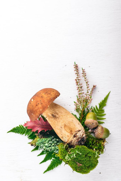 Mushroom Boletus. Forest mushrooms on a white wooden background. Top view. Free space for text. - Фото, зображення