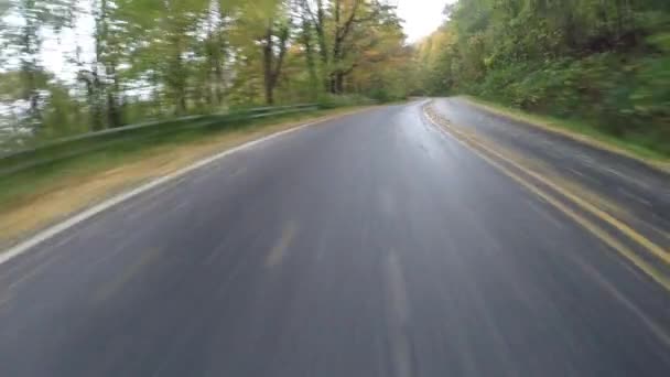 Fall Leaves on Road of Blue Ridge Parkway - Footage, Video