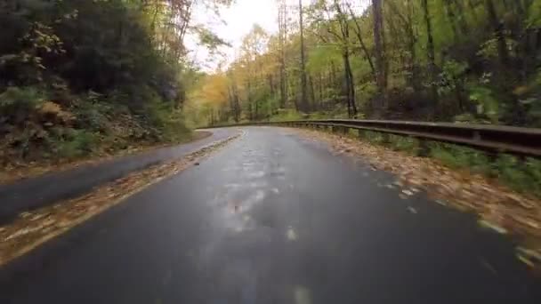 Na podzim listy podél Blue Ridge Parkway - Záběry, video