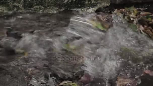 Νερό βροχής τρέχει στο ρεύμα - Βραζιλία  - Πλάνα, βίντεο