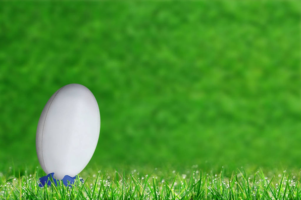 Balle de rugby dans Kicking Tee sur herbe avec espace de copie
 - Photo, image