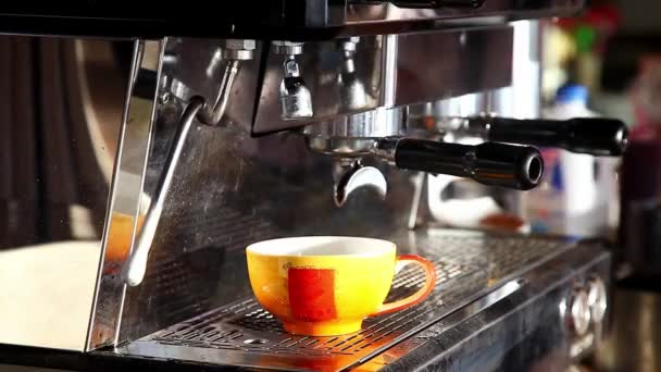 Barista kahve kahve bar yapmak için hazırlanıyor - Video, Çekim