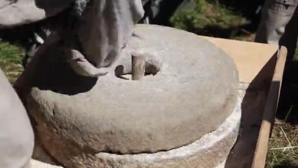 実験的研削と古代小麦粉の生産 - 映像、動画