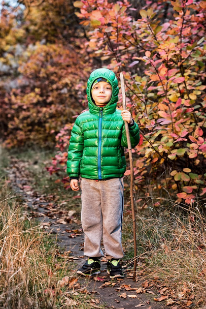 Cute little boy in autumn forest. - Foto, Imagem