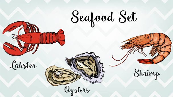 Zeevruchten Set: Vetor afbeelding met kreeft, oesters en garnalen schets stijl - Vector, afbeelding