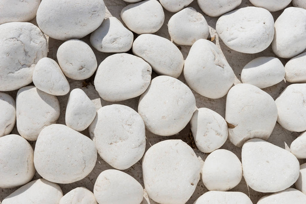 Background and texture of white round stones - Photo, Image