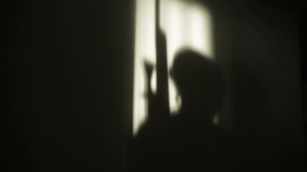Shadow of a guard. - Séquence, vidéo