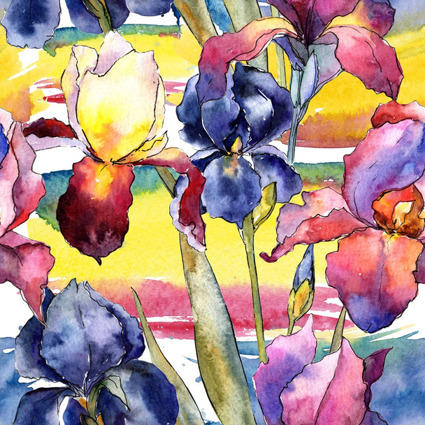 Wildflower colorful iris flower pattern in a watercolor style. - Photo, Image