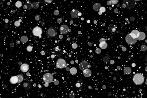 Falling snow on black background. - Zdjęcie, obraz