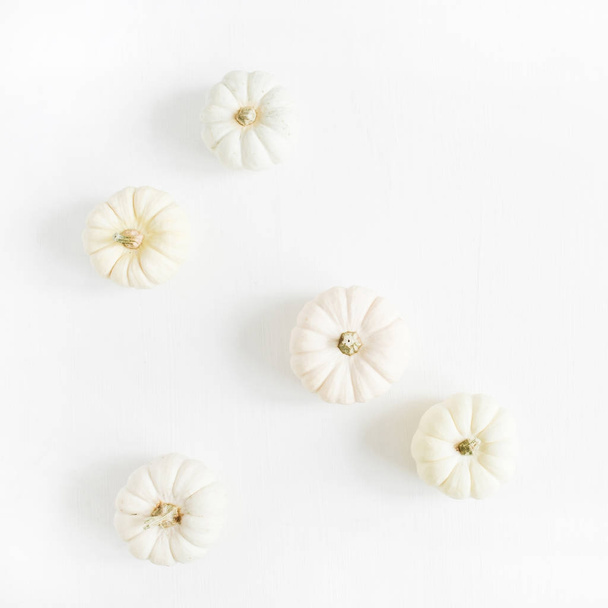 White pumpkins on white - Photo, Image