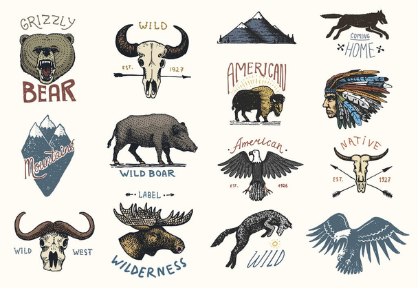 一連の刻まれたヴィンテージ、手描き、古い、ラベルやバッジ、キャンプにハイキング、イノシシ、狩猟クマし、オオカミ, キツネ。頭蓋骨、白頭ワシ、ムースの顔、インドやネイティブ アメリカン。バッファロー - ベクター画像