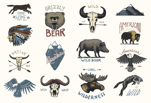 joukko kaiverrettu vuosikerta, käsin piirretty, vanha, etiketit tai merkit retkeilyyn, vaellus, metsästys villisika, karhu ja susi, punainen kettu. Kallo ja kalju kotka, hirvenkasvot, intialainen tai intiaani. biisoni
 - Vektori, kuva