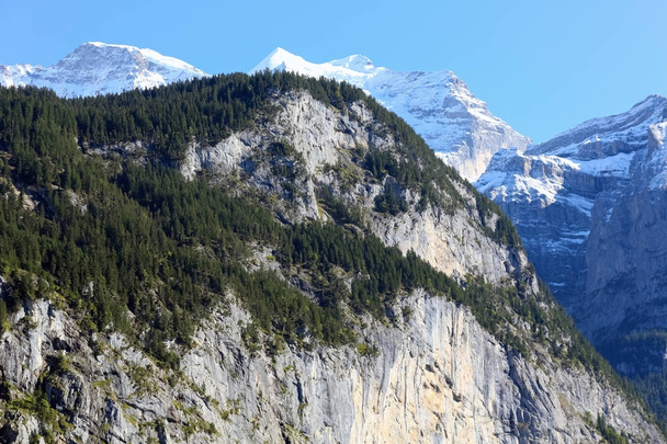Alpesi csúcsok borítja erdő, vagy a hó - Fotó, kép