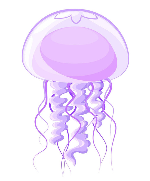 Linda medusa de dibujos animados Jellyfish vector icono plano Diseño plano de natación criaturas marinas con sombra redonda aislado en el fondo blanco, ilustración de vectores Página web y diseño de aplicaciones móviles
 - Vector, Imagen