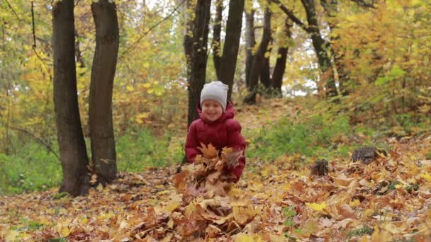 Peuter jongen spelen met herfst bladeren in park - Video