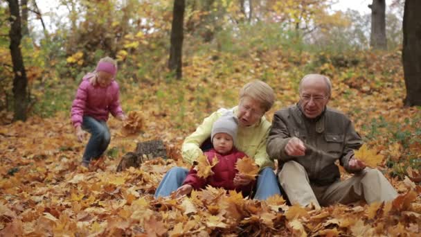 Rodzina czterech korzystających złotych liści jesienią - Materiał filmowy, wideo