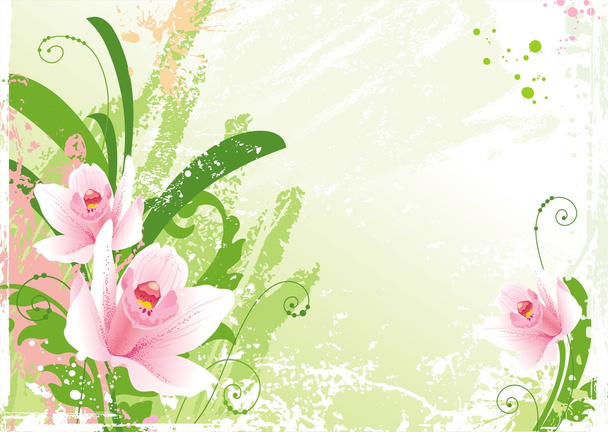 Background with orchids - Vector, Image