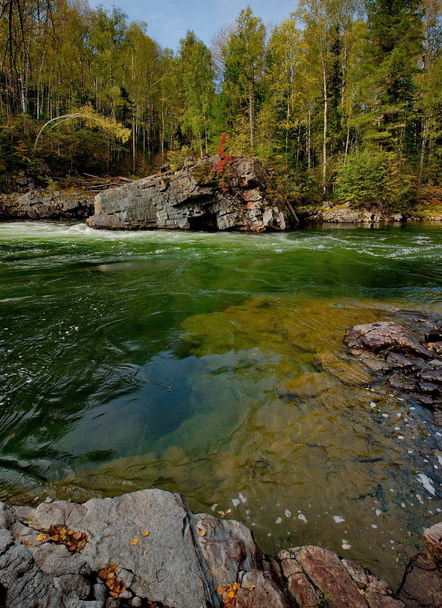 The beauty of the mountain rivers of Siberia - Photo, Image