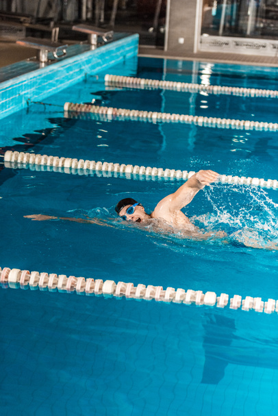 nadador profesional masculino
 - Foto, imagen