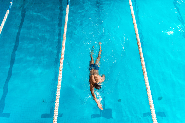 競争のプールで水泳 - 写真・画像