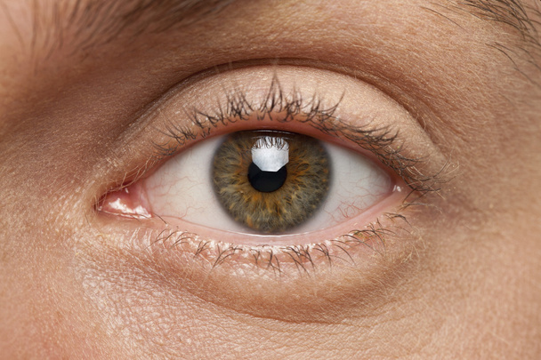 καστανά μάτια μακροεντολή - Φωτογραφία, εικόνα