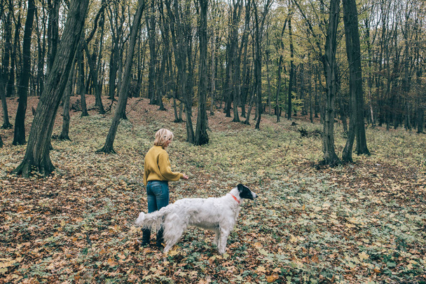 Дівчина гуляє зі своєю собакою в лісі
 - Фото, зображення