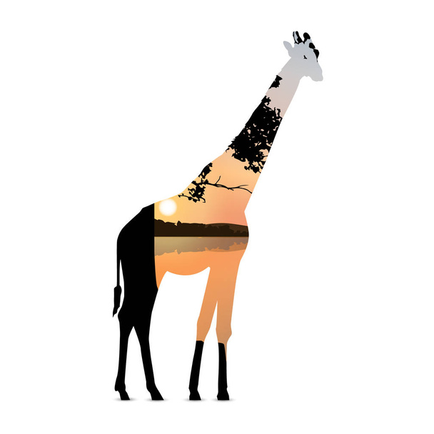 Silhouette of giraffe - Vettoriali, immagini
