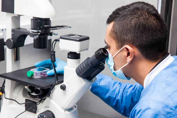 Ученый-мужчина рассматривает культуру клеток под микроскопом
 - Фото, изображение