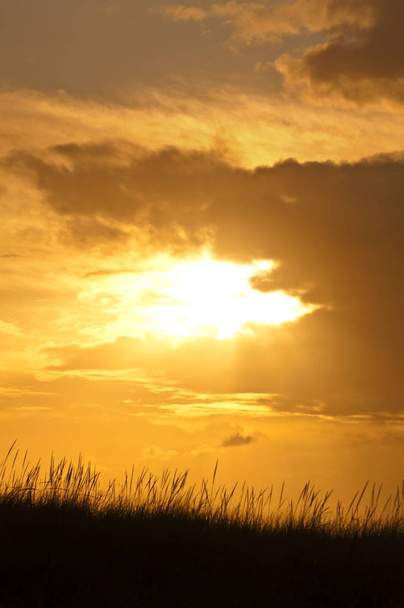 Diep gouden avondrood met silhouet van gras weide - Foto, afbeelding