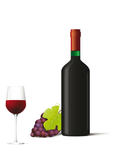 Bottiglia e bicchiere con vino rosso e frutti di bosco
 - Vettoriali, immagini