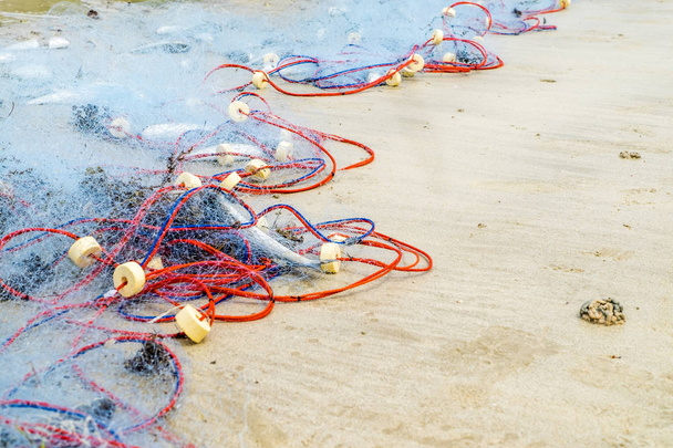 Chiudi Le reti da pesca catturano pesci morti sulla sabbia della spiaggia
 - Foto, immagini
