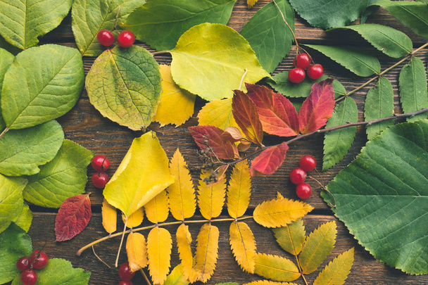 Fallen autumnal foliage on a wooden background - Foto, Imagem
