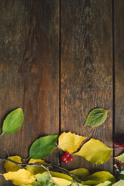 Herbstlaub auf der rauen Holzoberfläche - Foto, Bild