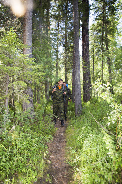 Des forestiers patrouillent dans la forêt
. - Photo, image
