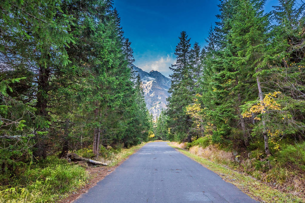Темная дорога, ведущая в горы осенью
 - Фото, изображение