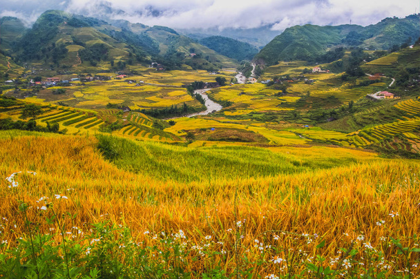 Piękny krajobraz Wietnam  - Zdjęcie, obraz