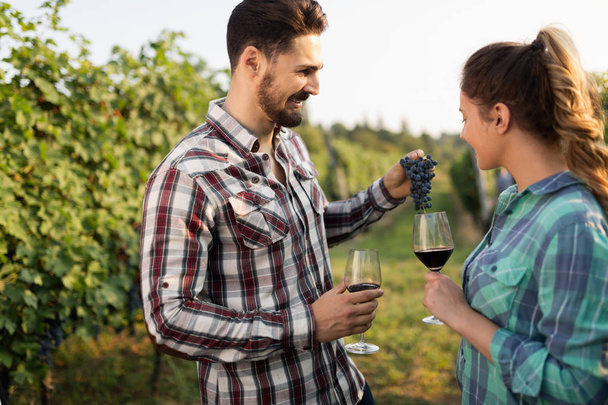 Happy couple in vineyard before harvesting - 写真・画像