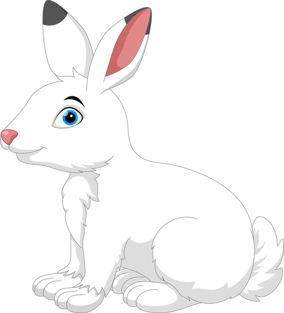 Arctic hare cartoon - Vector, Image