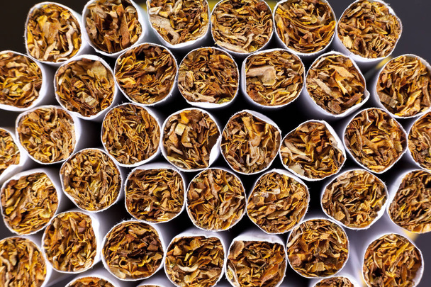 Tobacco inside cigarettes - Photo, Image