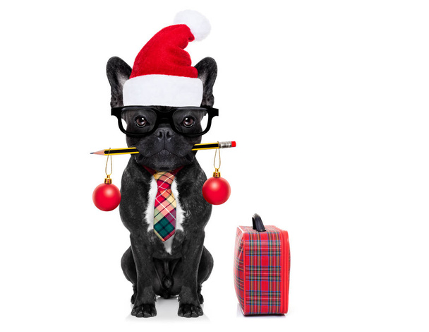 犬のクリスマスの休日のサラリーマン - 写真・画像