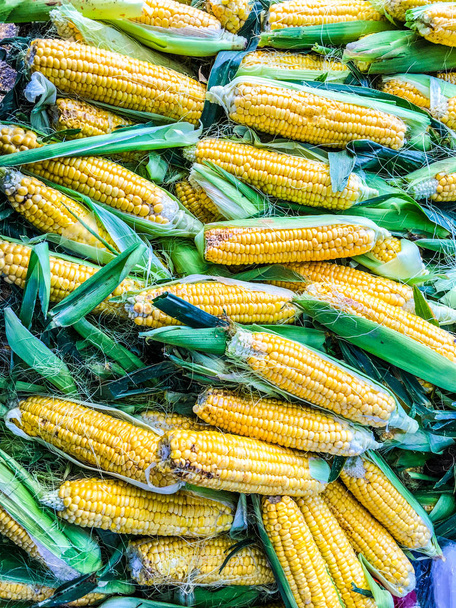 кукурудза, кукурудза, солодка кукурудза
 - Фото, зображення