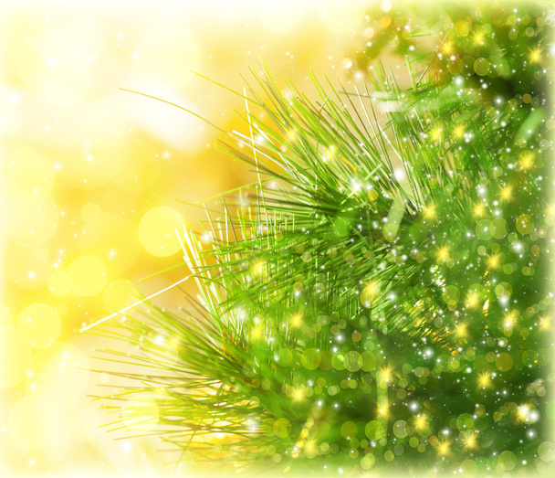 Árbol de Navidad Frontera
 - Foto, Imagen