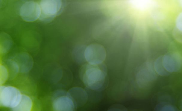 Green blurred background - Photo, Image