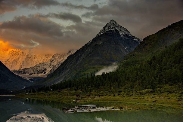 Verano en las montañas de Altai
 - Foto, Imagen