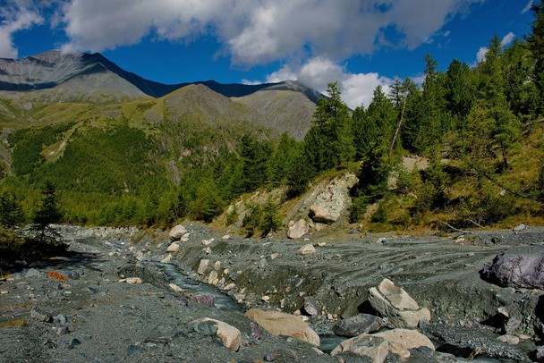 Sommer auf den Flüssen des Altais - Foto, Bild