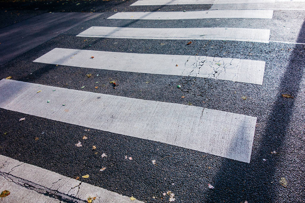líneas de peatones en carretera en altos contrastes
 - Foto, Imagen
