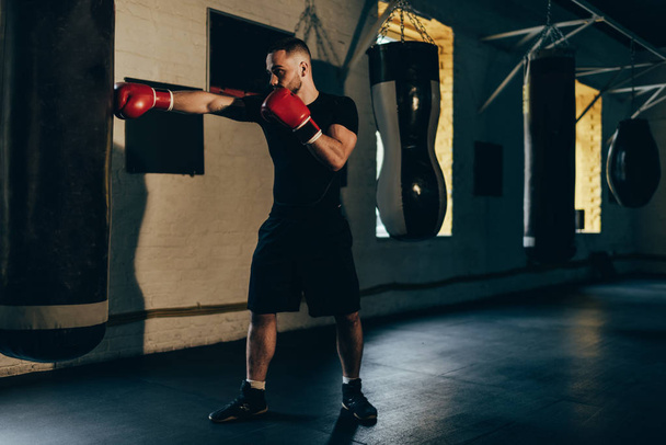boxer training with punching bag - Photo, Image