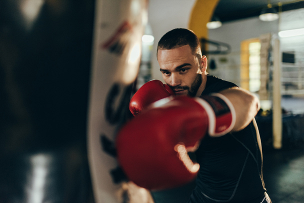 boxer training with punching bag - Photo, Image